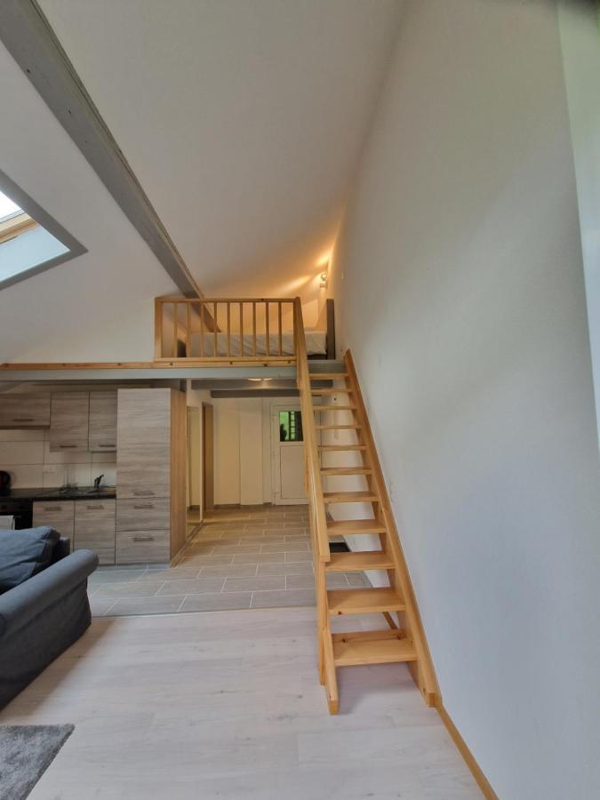 Apartment Saaner Valley Boltigen
