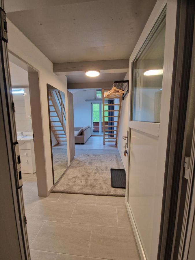 Saaner Valley Apartment Boltigen