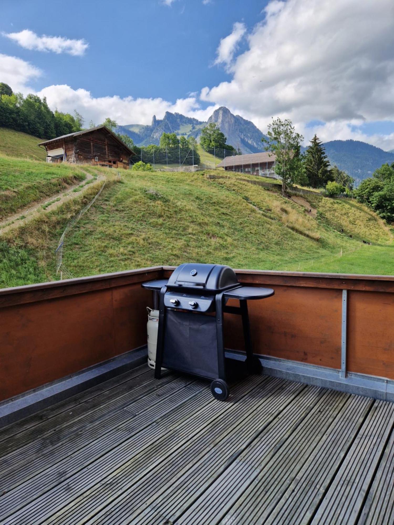 Apartment Saaner Valley *